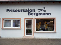 Bergmann11